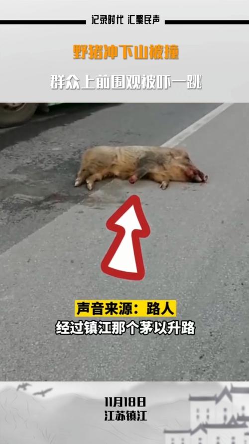 客户服务 第3页
