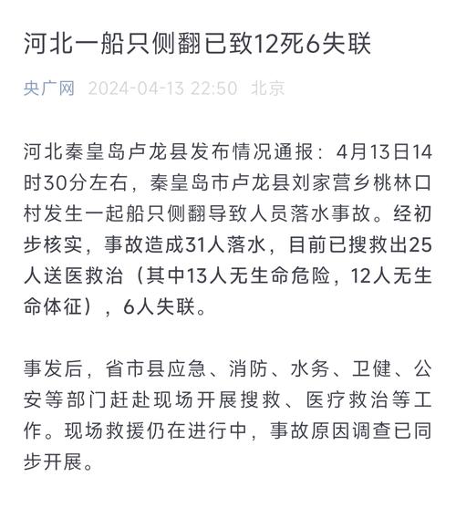 龙门石窟游船失控,龙门石窟游船失控事件