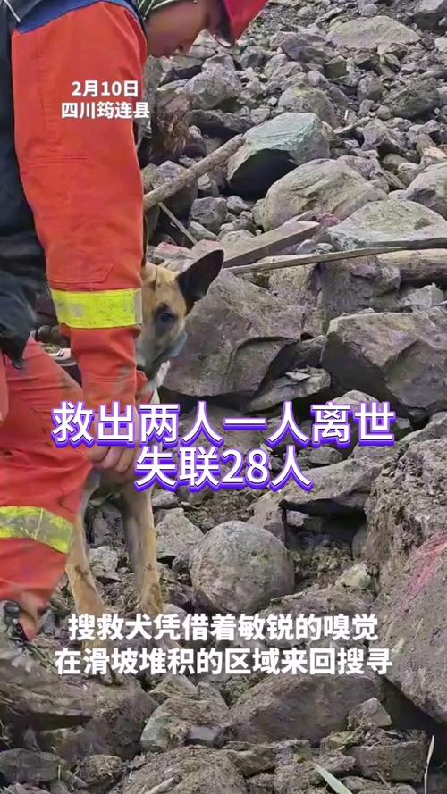 第84页