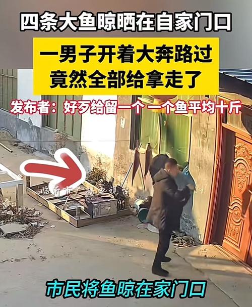 香港澳门 第5页